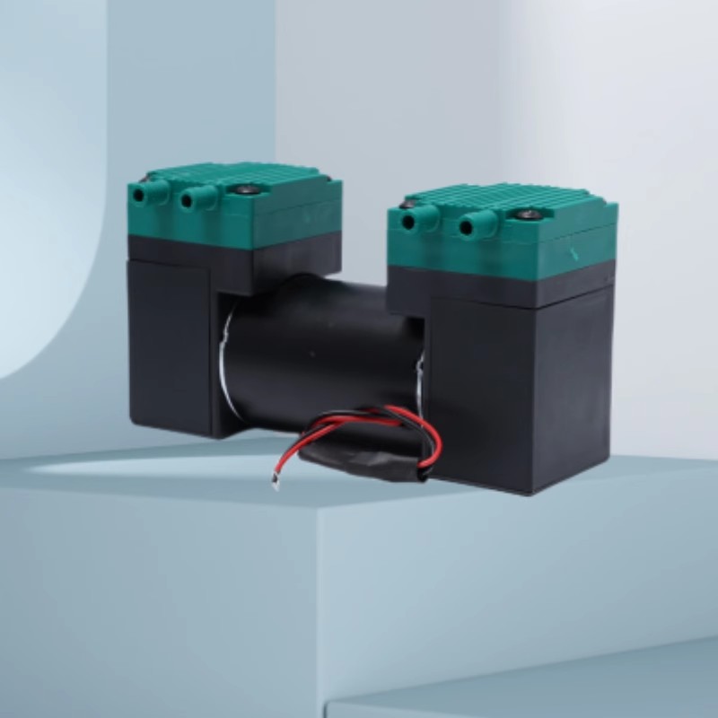 Medical Lab Assistant - Mikro-Membran-Luftpumpe 12V/24V/220V Geräuscharme Vakuumpumpe für Schönheitsgeräte,