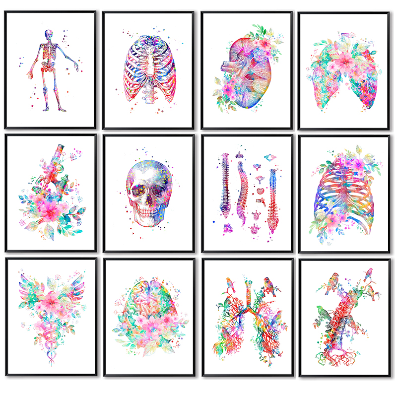 Medical Lab Posters - Anatomie-Medizinposter: Blumenorgane Wandkunst Leinwandbild – Anthropologie