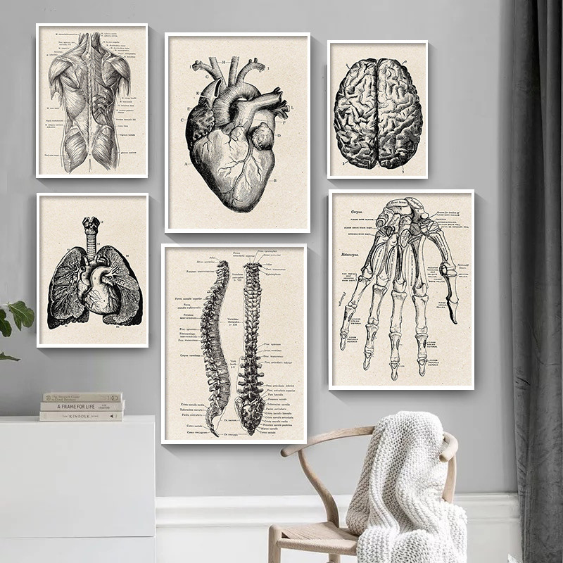 Medical Lab Posters - Medizinische Anatomie Kunstwerk Leinwand Kunst Poster,