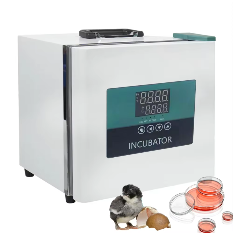 Tragbarer Labor-Inkubator für  – Medical Lab Microbiology Bewertung und Preis