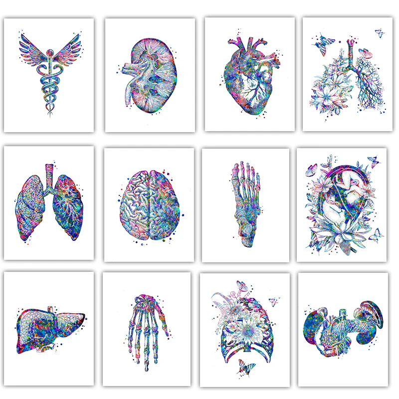 Anatomy Medical Poster Flower  – Medical Lab Pictures Bewertung und Preis