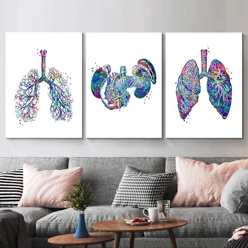 Anatomy Medical Poster Flower  – Medical Lab Pictures Bewertung und Preis