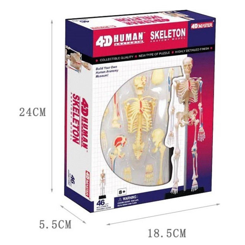 4d Menschliches Vollskelett An – Medical Lab Assistant Bewertung und Preis
