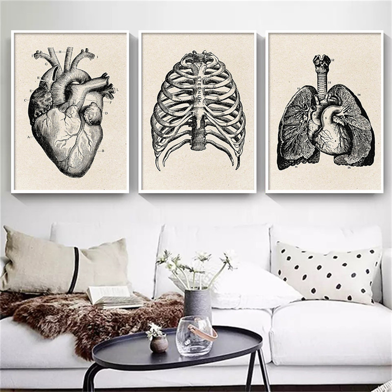 Medizinische Anatomie Kunstwer – Medical Lab Posters Bewertung und Preis