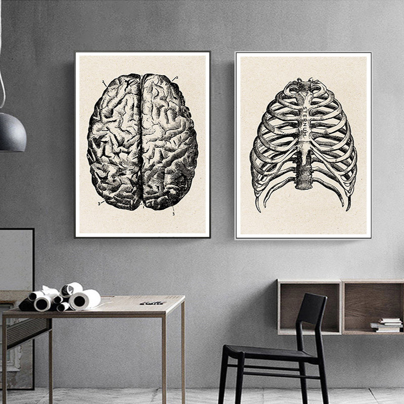 Medizinische Anatomie Kunstwer – Medical Lab Posters Bewertung und Preis